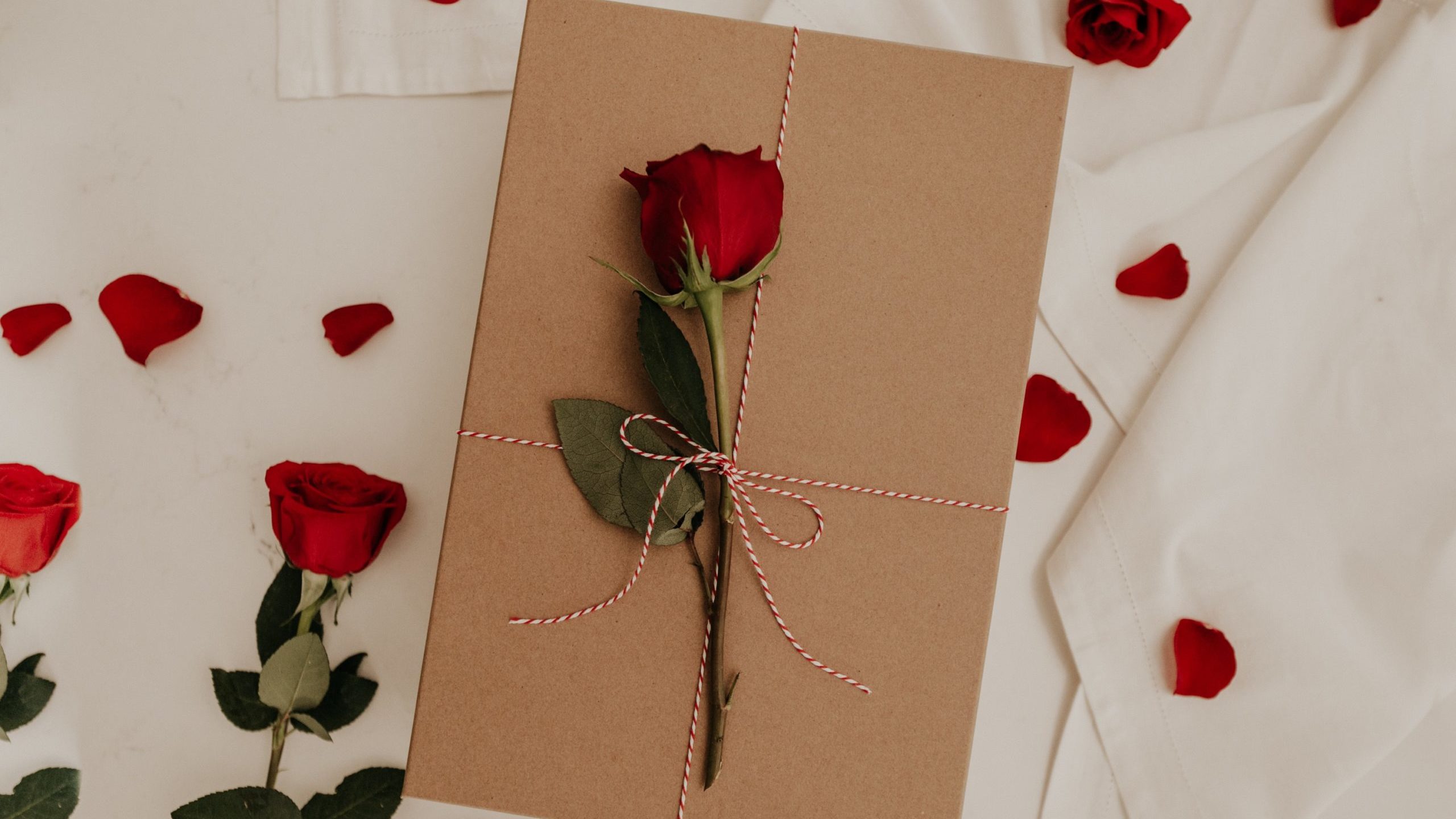 Your Turn: A Single Girl’s Guide to Surviving Valentine’s Day