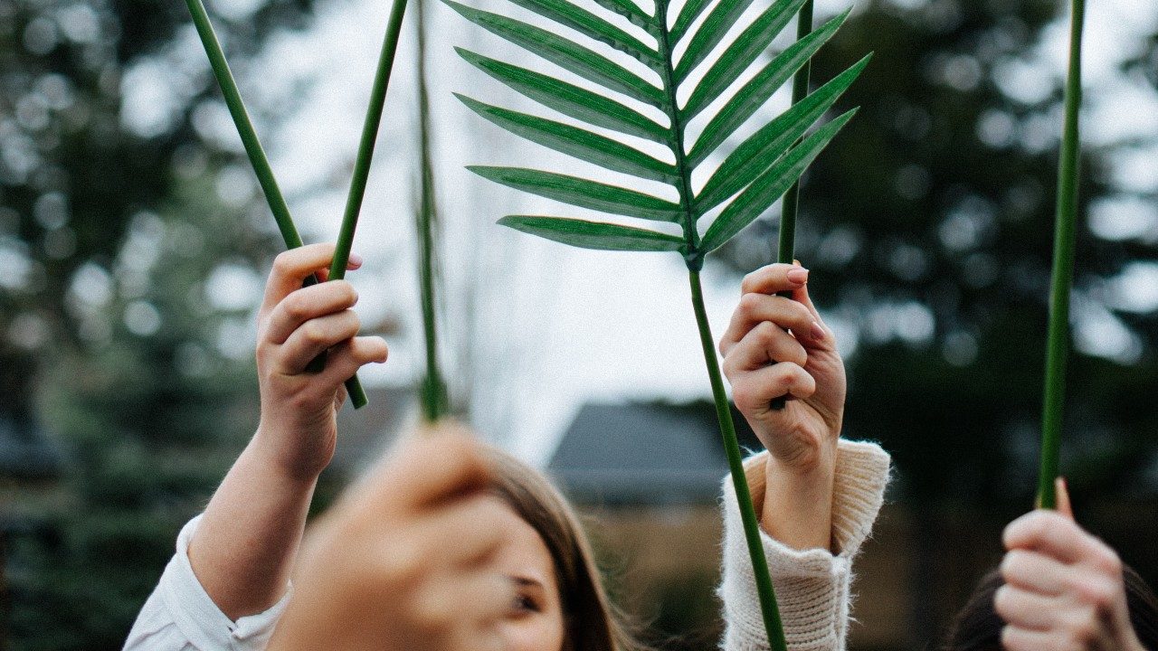 What Palm Sunday Says About Politics and Personal Agendas